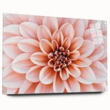 Close-up of a floral design on acrylic glass, featuring soft pink and white tones, suitable for bedroom or dining room decor.