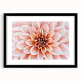 Extra large abstract art print featuring vibrant, colorful floral designs on a textured canvas, framed in black.