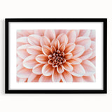 Extra large abstract art print featuring vibrant, colorful floral designs on a textured canvas, framed in black.