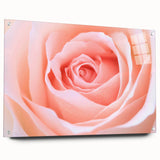 Close-up of a floral acrylic print in vibrant colors, ideal for bedroom or dining room decor.