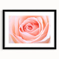 Extra large abstract art print featuring textured, colorful florals on a black framed canvas, ideal for living room decor.