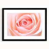 Extra large abstract art print featuring textured, colorful florals on a black framed canvas, ideal for living room decor.