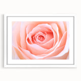 Abstract art print featuring close-up floral designs in muted greens and whites, framed with a white mat.