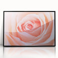Large abstract wall art featuring vibrant floral designs in a mid-century modernist style, framed in black acrylic.