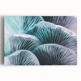 Black and white close-up floral image on stretched canvas, ideal for kitchen wall art.