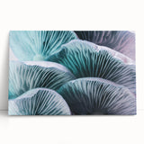 Black and white close-up floral photo on stretched canvas, ideal for kitchen wall art or bedroom ambiance.