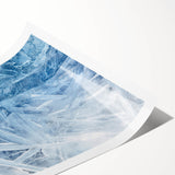 Extra large rolled print featuring a close-up of frost patterns on a flower, in muted blue and white tones.
