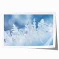 Close-up of frost pattern on ice in muted blue and white tones, rolled print.