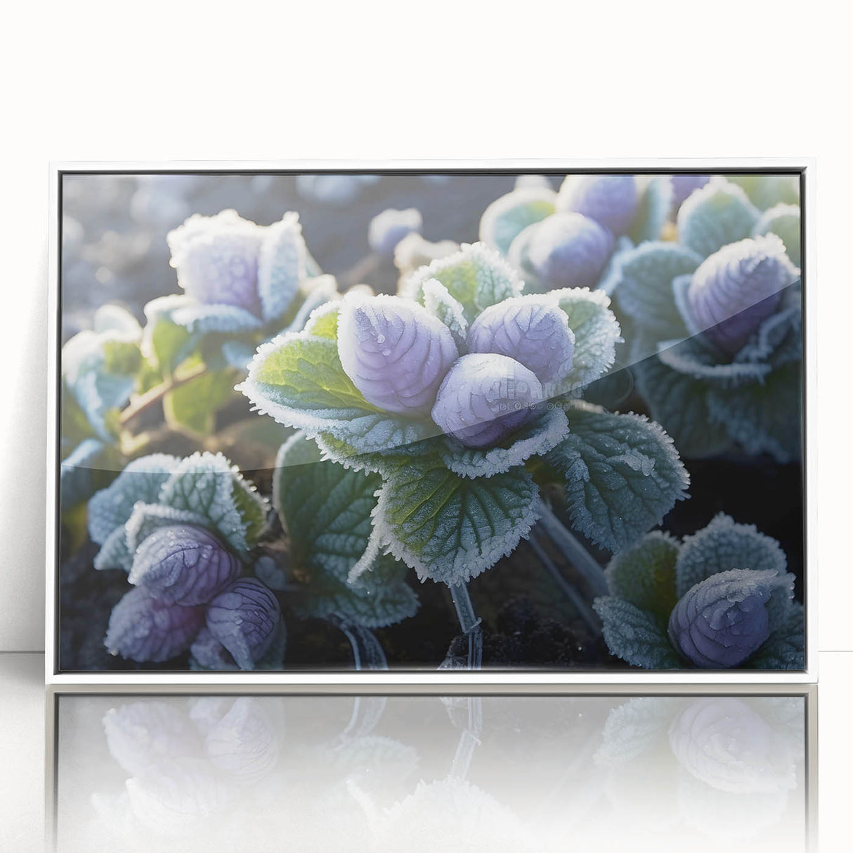 Framed acrylic print of a close-up frost design in white, ideal for modern art wall decor.