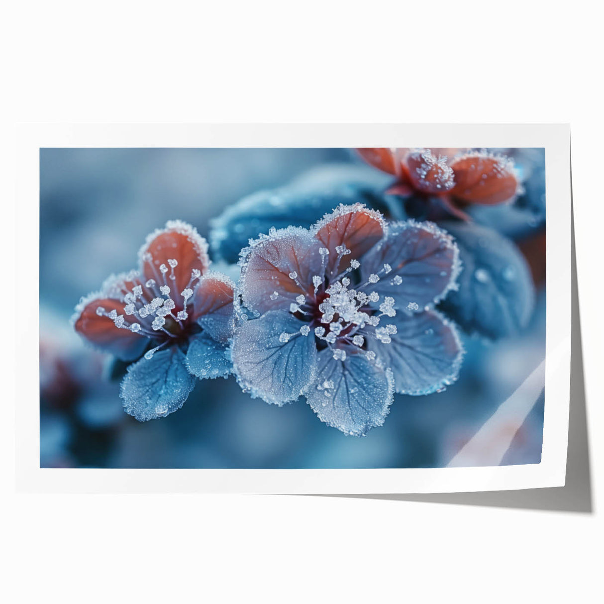 Close-up image of frost patterns on ice in muted blue and white tones, printed on rolled canvas.