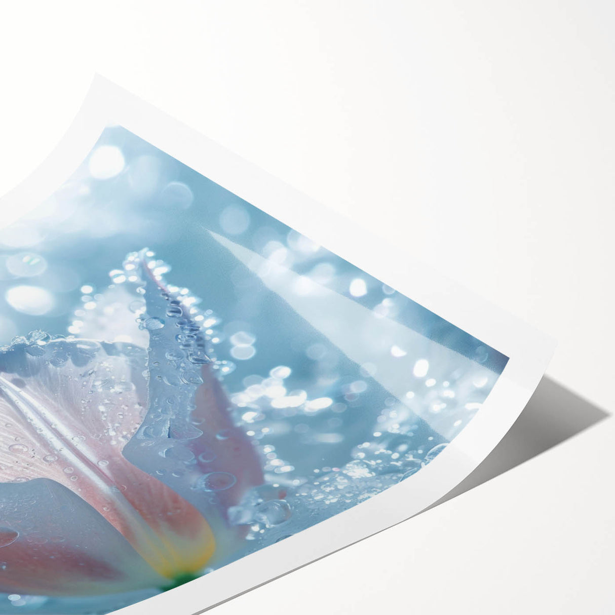 Extra large wall art featuring a close-up of frost patterns on flowers, in muted blue and white tones.