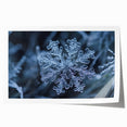 Close-up image of frost patterns on ice in muted blue and white tones, printed on rolled canvas.