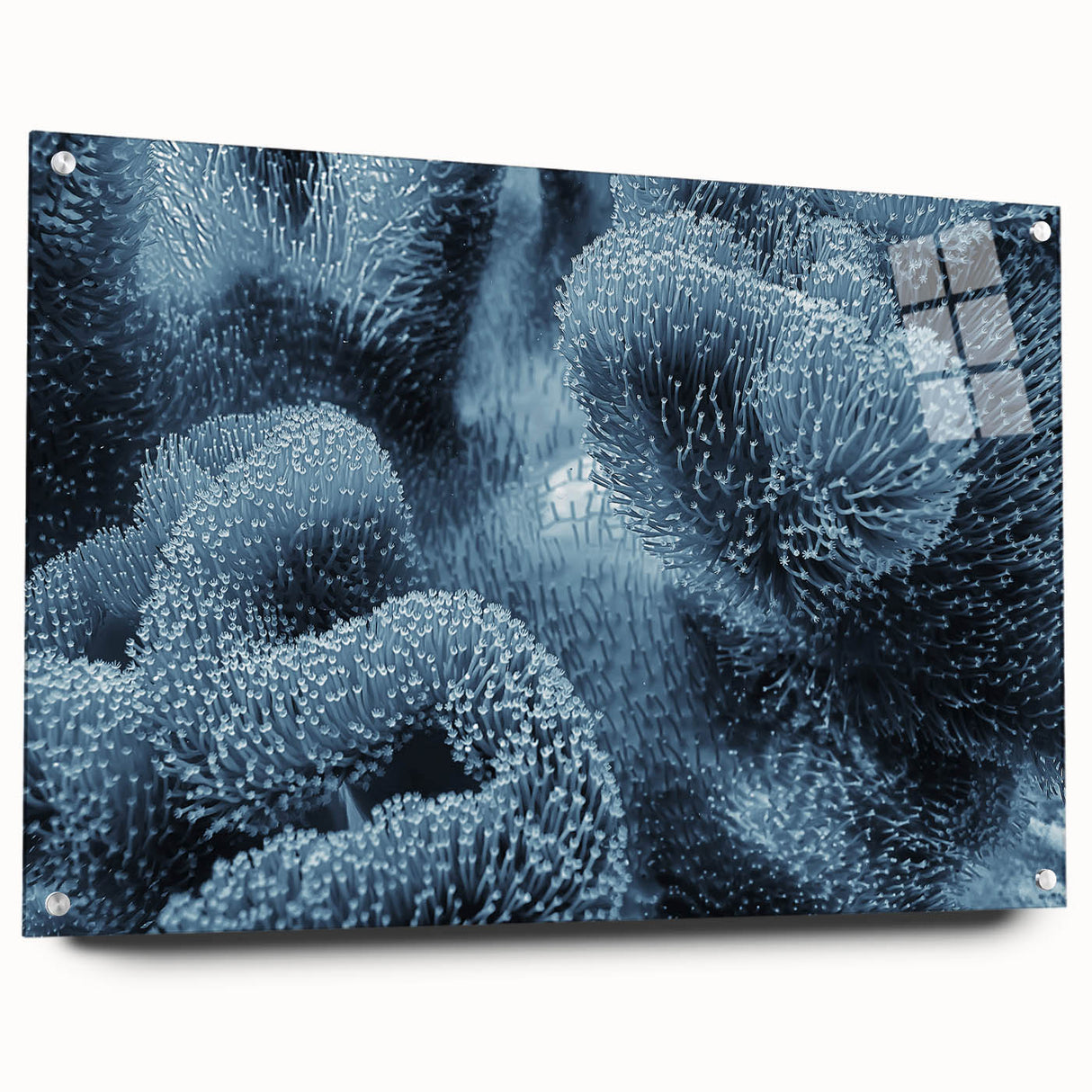 Close-up of frost patterns on acrylic glass, in muted blue and white tones, suitable for bedroom or dining room decor.