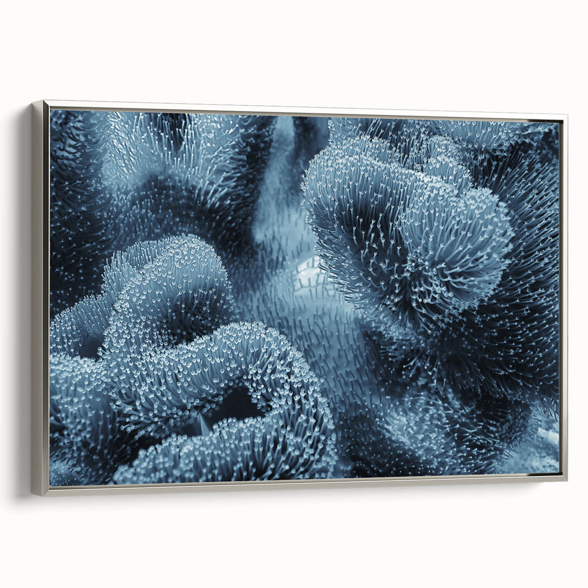 Framed canvas of vintage poster art featuring a close-up of frost patterns in black and colorful tones.