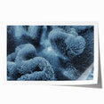 Close-up of frost patterns on ice in muted blue and white tones, rolled print, suitable for art wall dining room.