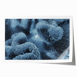 Close-up of frost patterns on ice in muted blue and white tones, rolled print, suitable for art wall dining room.