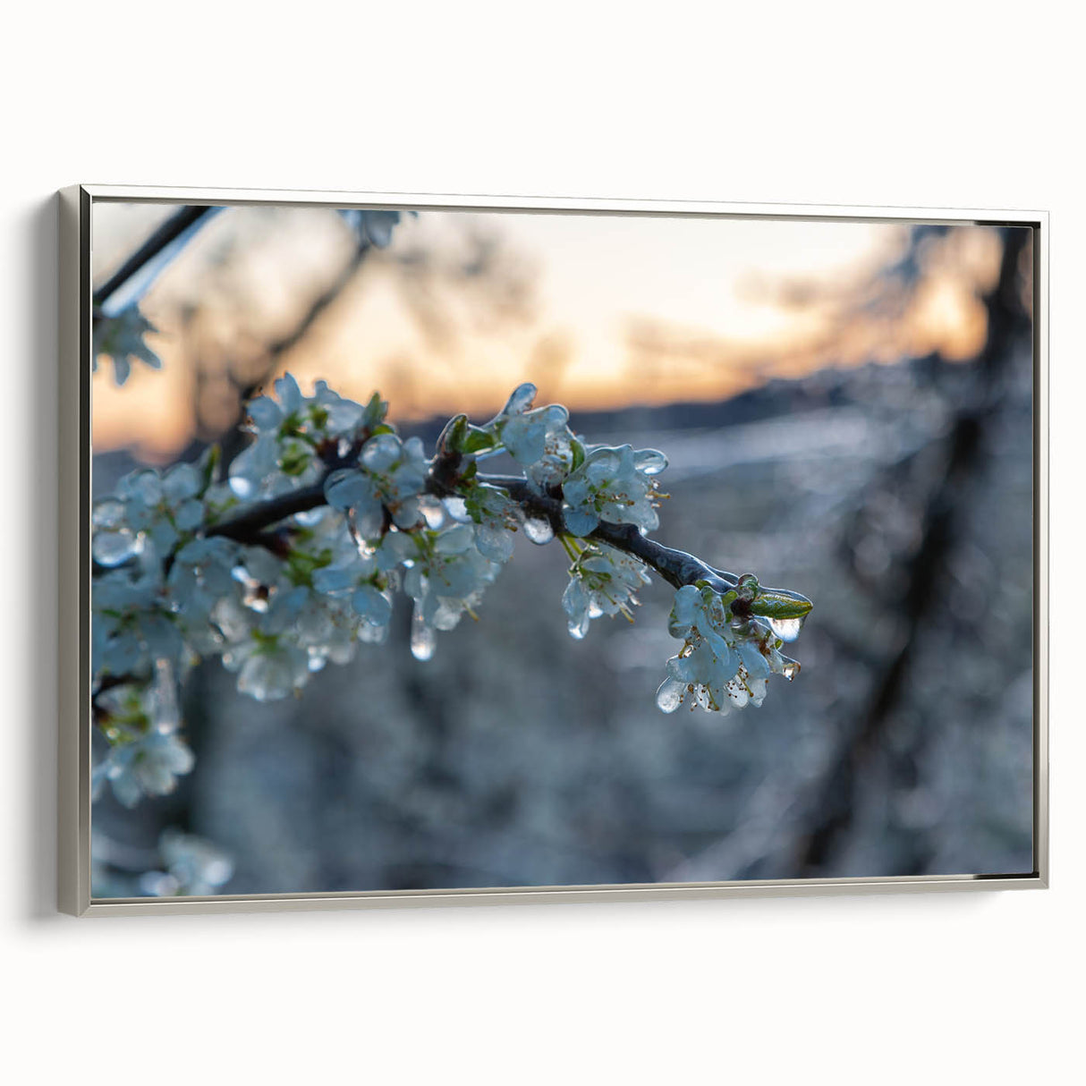 Vintage poster art of a close-up frost design in black and colorful tones on a silver-framed, extra large canvas.