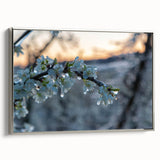 Vintage poster art of a close-up frost design in black and colorful tones on a silver-framed, extra large canvas.