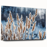 Close-up of frost pattern in muted blue and white on acrylic glass.