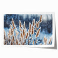 Close-up image of frost patterns on ice in muted blue and white tones, rolled print.