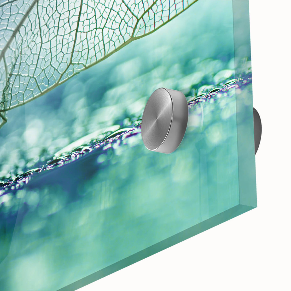 Close-up of leaves in shades of green and yellow on acrylic glass.