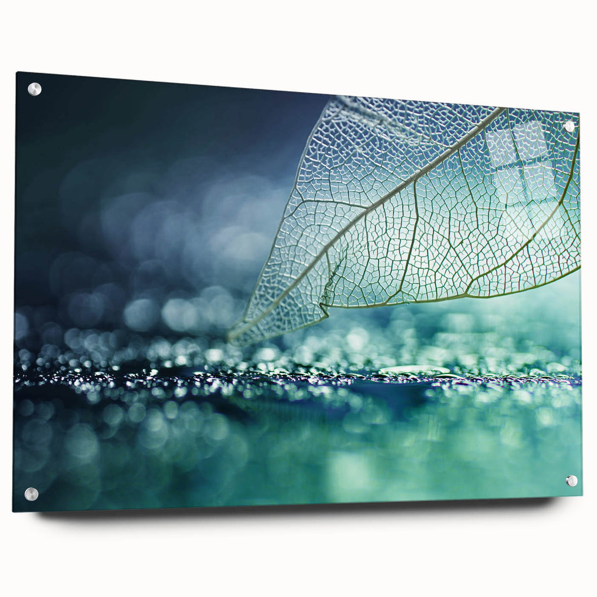 Close-up of green leaves on acrylic glass, ideal for bedroom or dining room wall art.