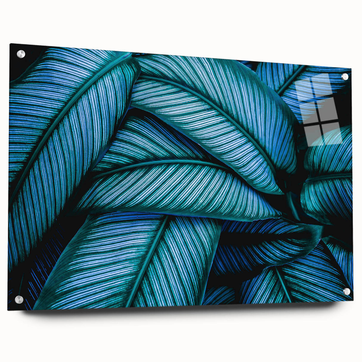 Close-up of leaves in green and yellow hues on acrylic glass, suitable for dining room decor.
