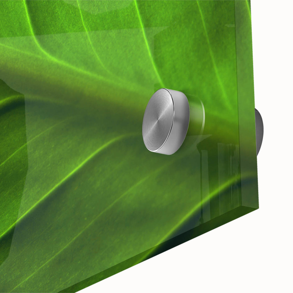 Large abstract wall art featuring close-up leaf design in green and yellow tones on acrylic glass.