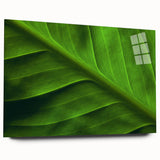 Close-up of green leaves in an abstract design on acrylic glass.