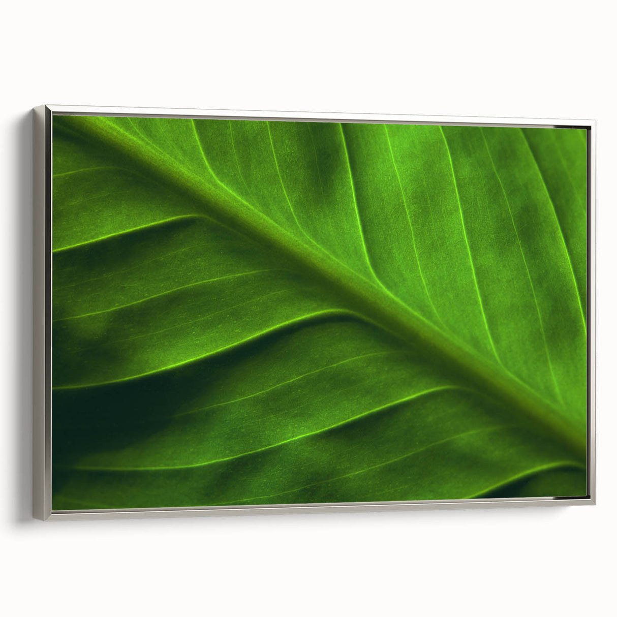 Framed canvas depicting a close-up of leaves in muted green and brown tones.