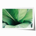 Close-up of green leaves print on rolled canvas, in muted green tones, ideal for dining room wall art.