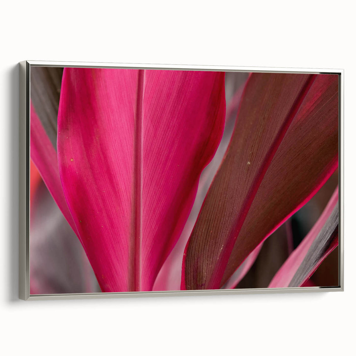 Framed canvas featuring a close-up view of leaves in muted green and silver.