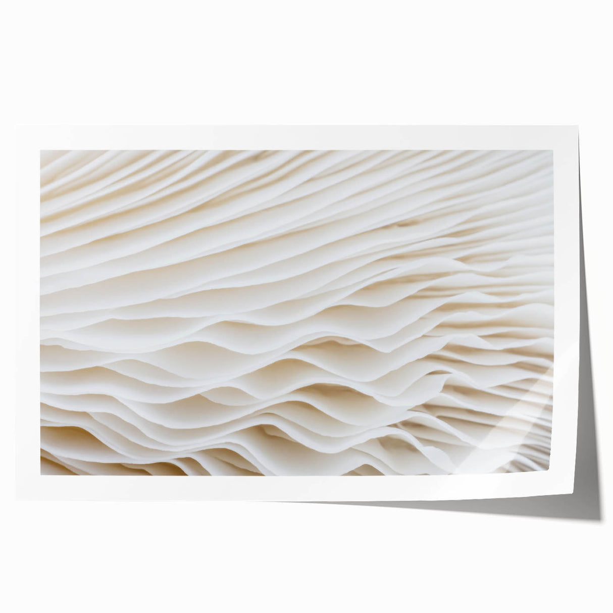 Close-up of green leaves on a rolled print, suitable for art wall dining room or bathroom, in natural tones.