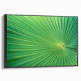 Black and white close-up of leaves on a framed canvas, suitable for bedroom wall decor with a vintage poster art style.