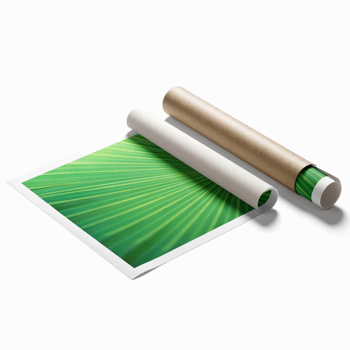 Close-up of green leaves on an extra-large rolled canvas, featuring natural tones, suitable for classy bathroom wall art.
