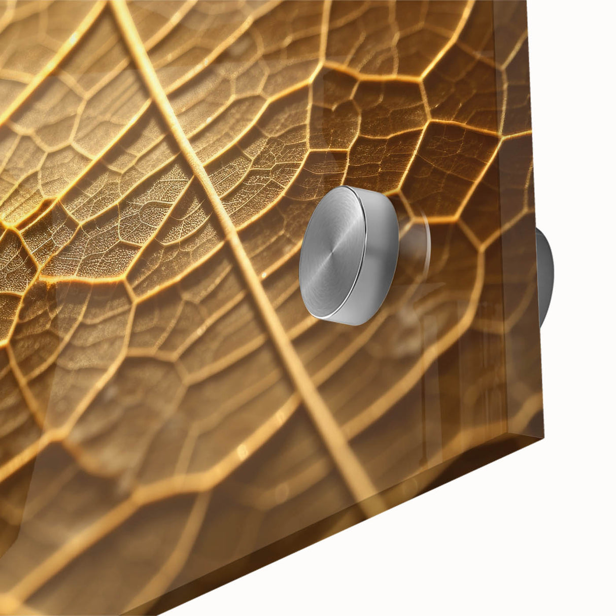 Large abstract wall art featuring close-up green leaves, in mid-century modernist style on acrylic glass.