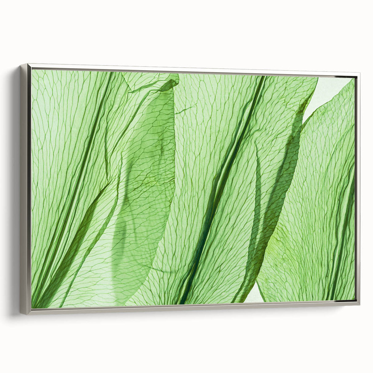 Framed canvas landscape art painting featuring close-up of leaves in shades of green and silver.