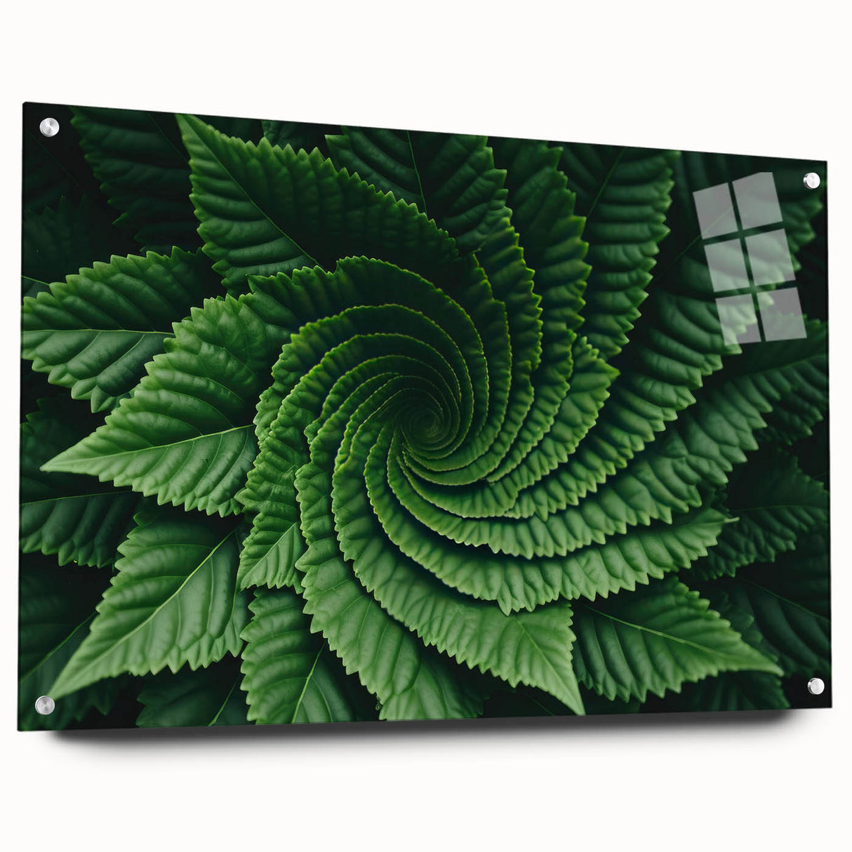 Close-up of leaves in green and yellow tones on acrylic glass, suitable for bedroom or dining room decor.