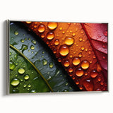 Framed canvas of a vintage-style landscape painting featuring colorful leaves against a black background.