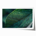 Close-up of green leaves on a rolled print, with vibrant green tones.