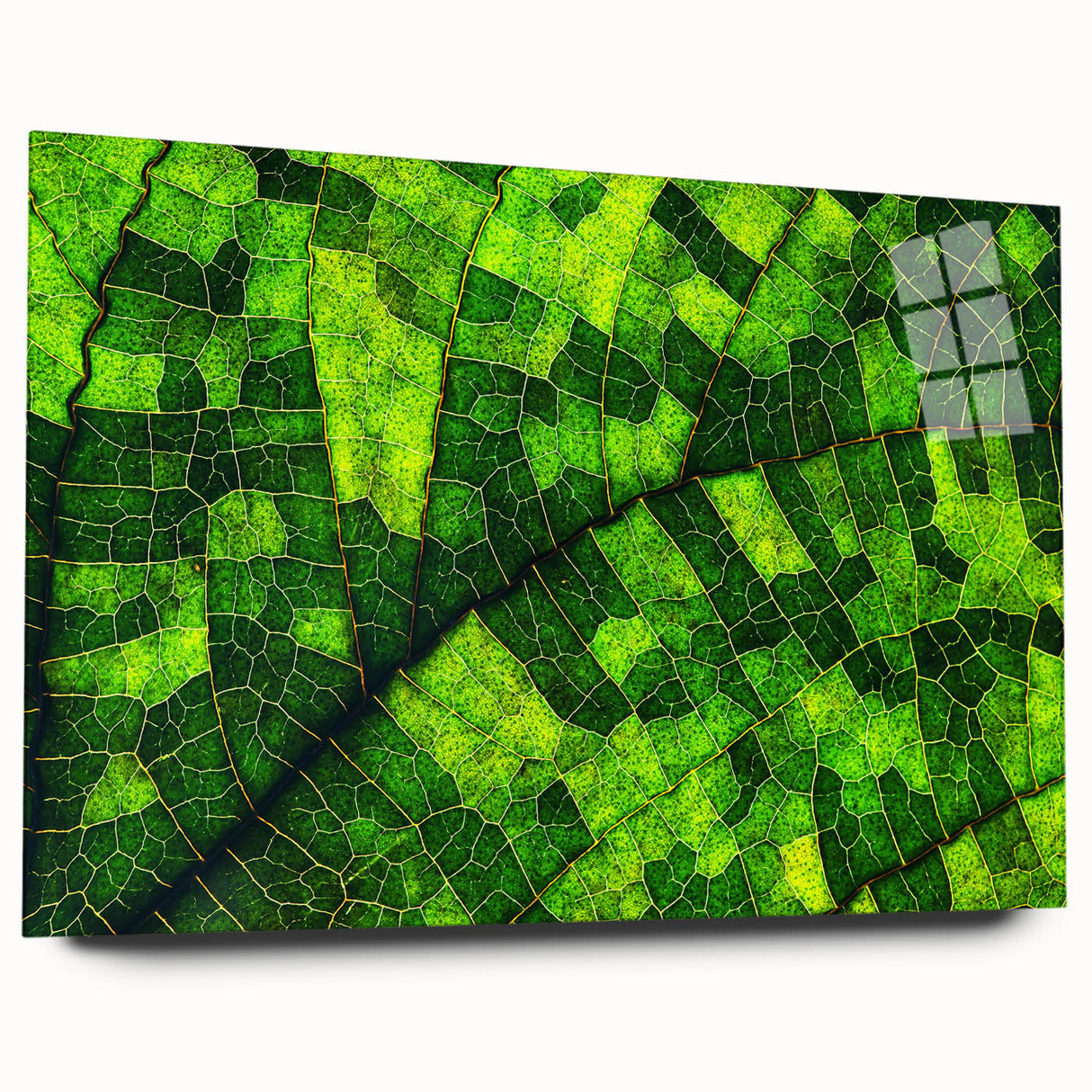 Close-up of leaves in green and yellow on acrylic glass, ideal for bedroom or dining room art.