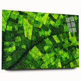 Close-up of leaves in green and yellow on acrylic glass, ideal for bedroom or dining room art.