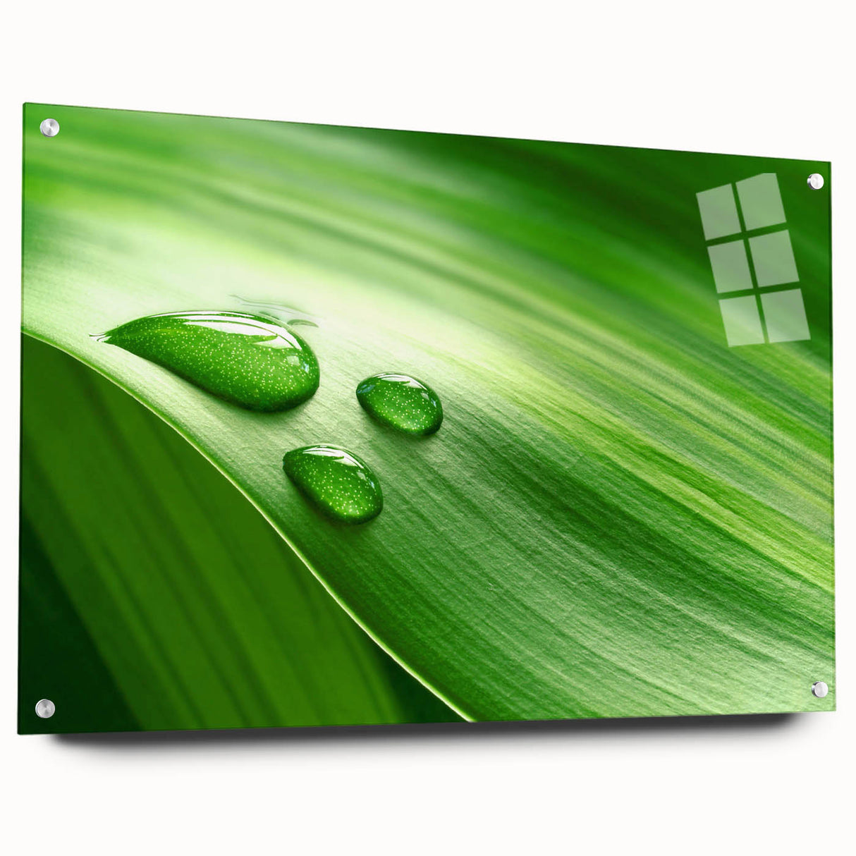 Close-up of leaves in vibrant green tones on acrylic glass, suitable for bedroom or dining room decor.