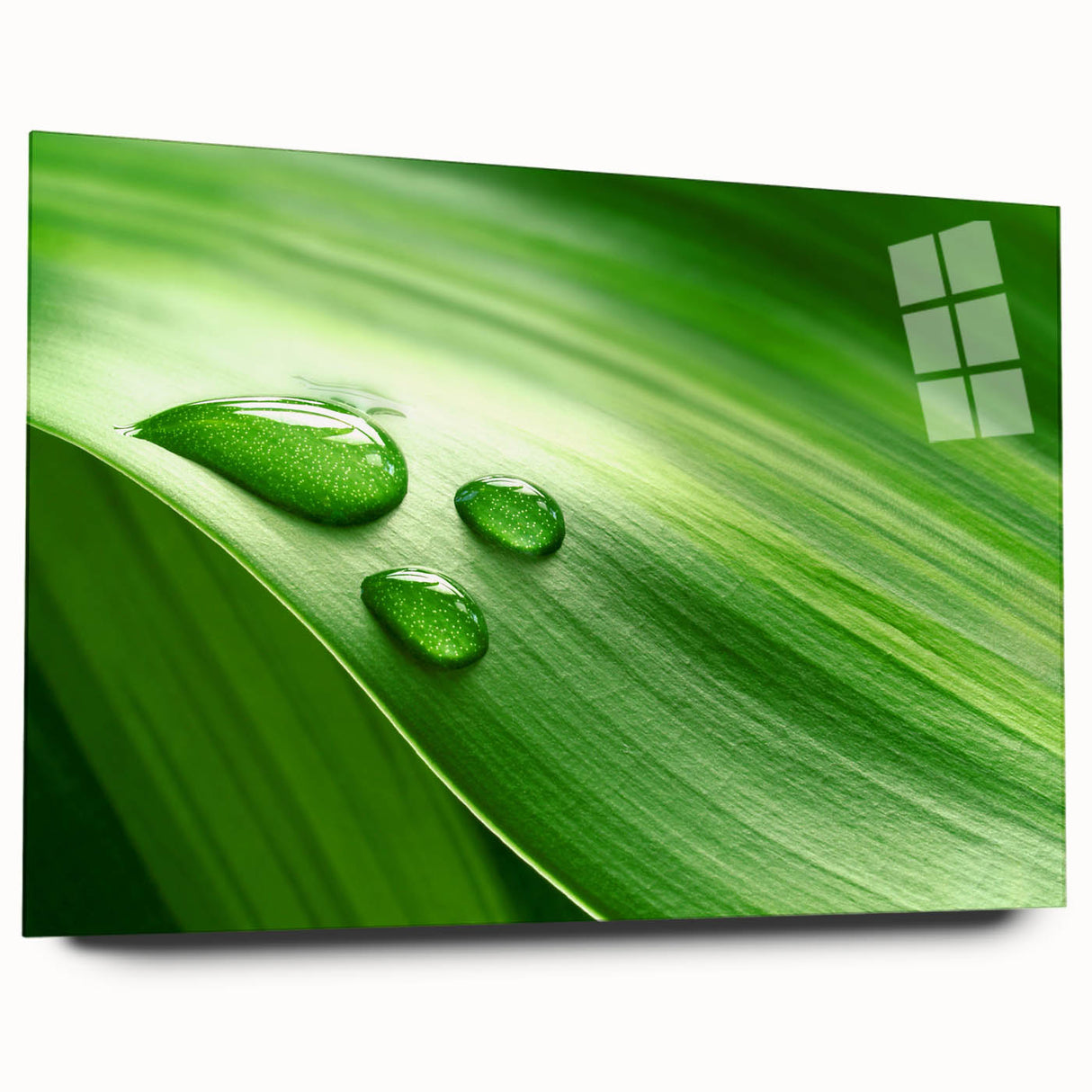 Close-up of leaves in green and yellow tones on acrylic glass, suitable for bedroom or dining room decor.