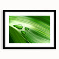 Extra large abstract art print of colorful, textured leaves on a black framed canvas, ideal for living room decor.