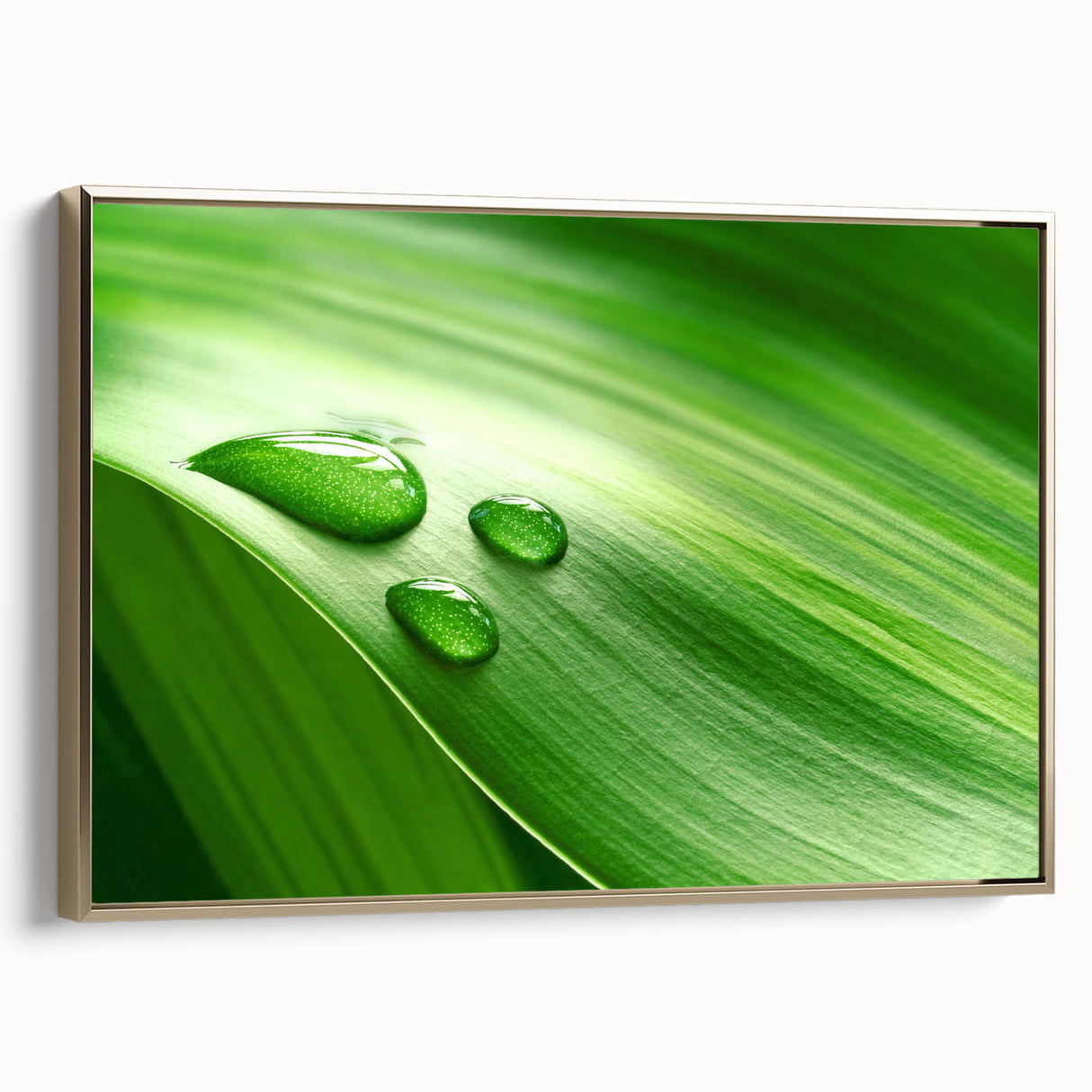 Framed canvas depicting close-up of leaves in muted green and gold tones, suitable as wall art for a bedroom.