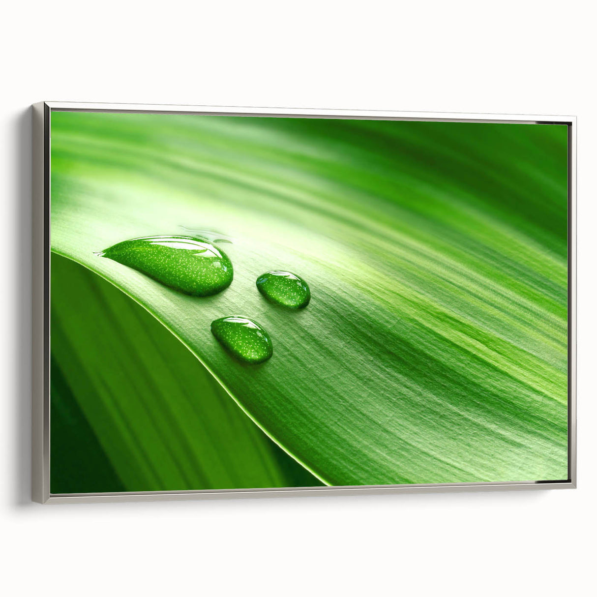 Framed canvas depicting a close-up of leaves in vibrant green and yellow tones.
