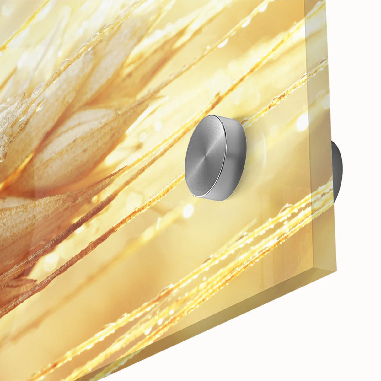 Large abstract wall art featuring close-up leaves in muted green tones on acrylic glass, ideal for dining room art.