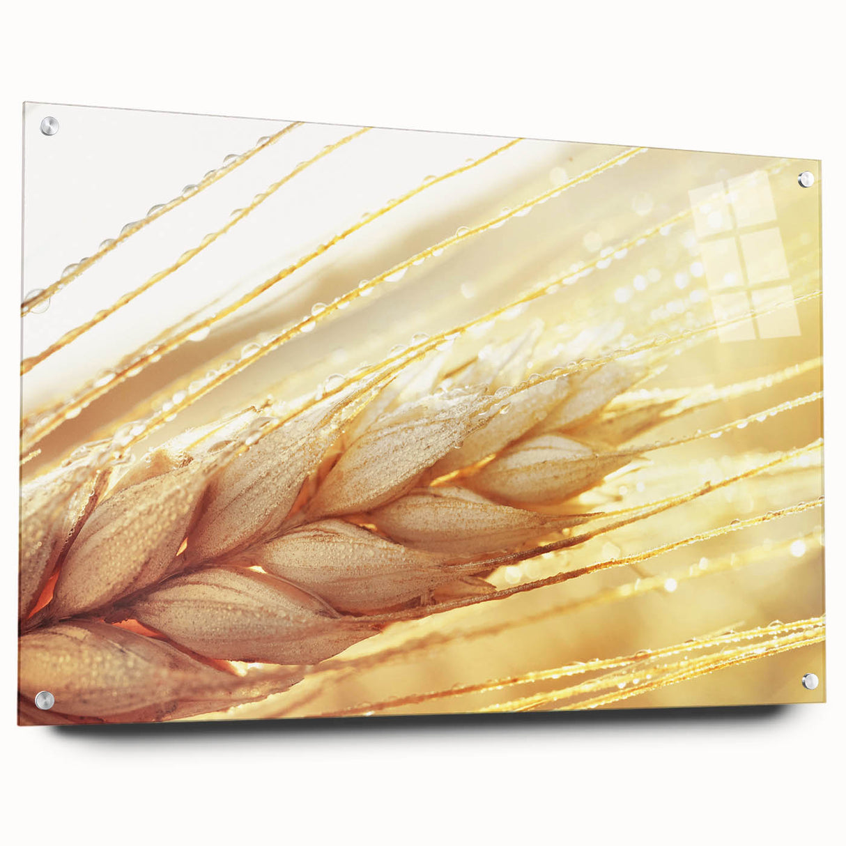 Close-up of leaves in soft green tones on large acrylic glass, suitable for bedroom or dining room decor.