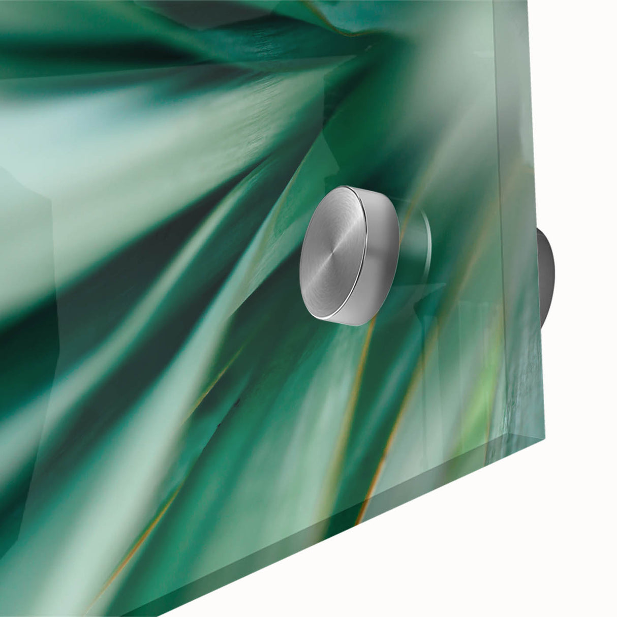 Large abstract wall art featuring close-up leaves design in muted green tones on acrylic glass.